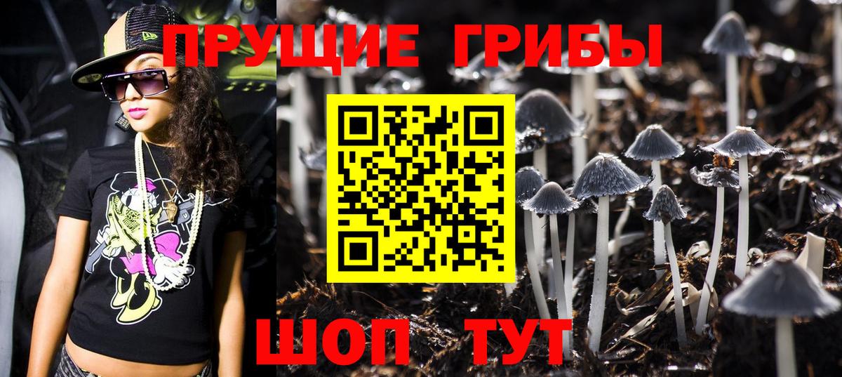 Кумертау  Псилоцибиновые грибы MAGIC MUSHROOMS  Вход с VPN  купить наркоту  Псилоцибиновые грибы ЛСД 