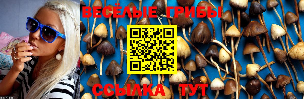 Галлюциногенные грибы GOLDEN TEACHER Кумертау